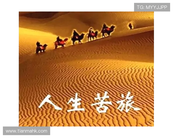 与赵芳对话探索极限运动背后的激情与挑战人生旅程